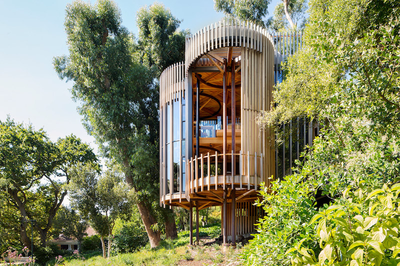 Modern Tree House Design