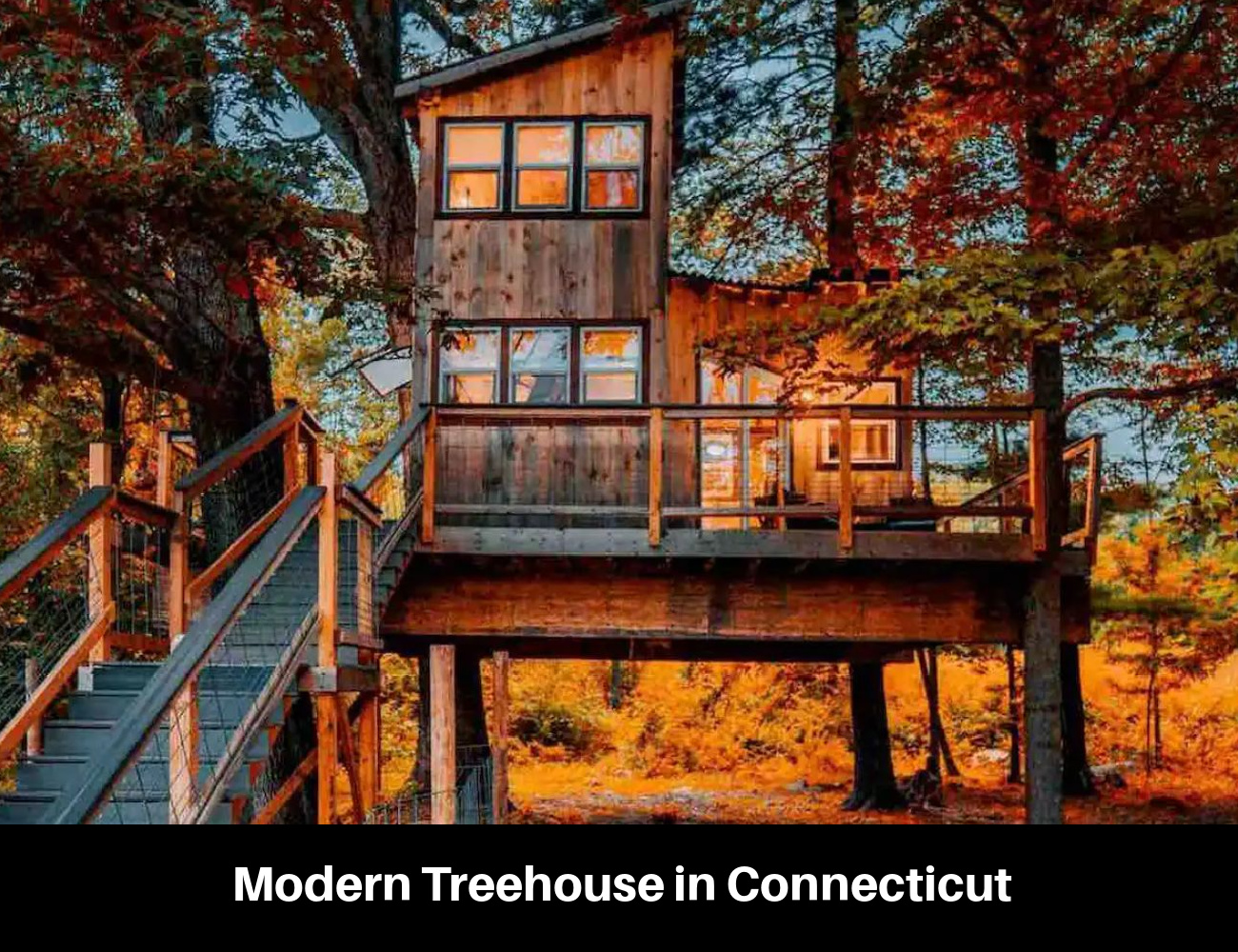 Modern Treehouse in Connecticut