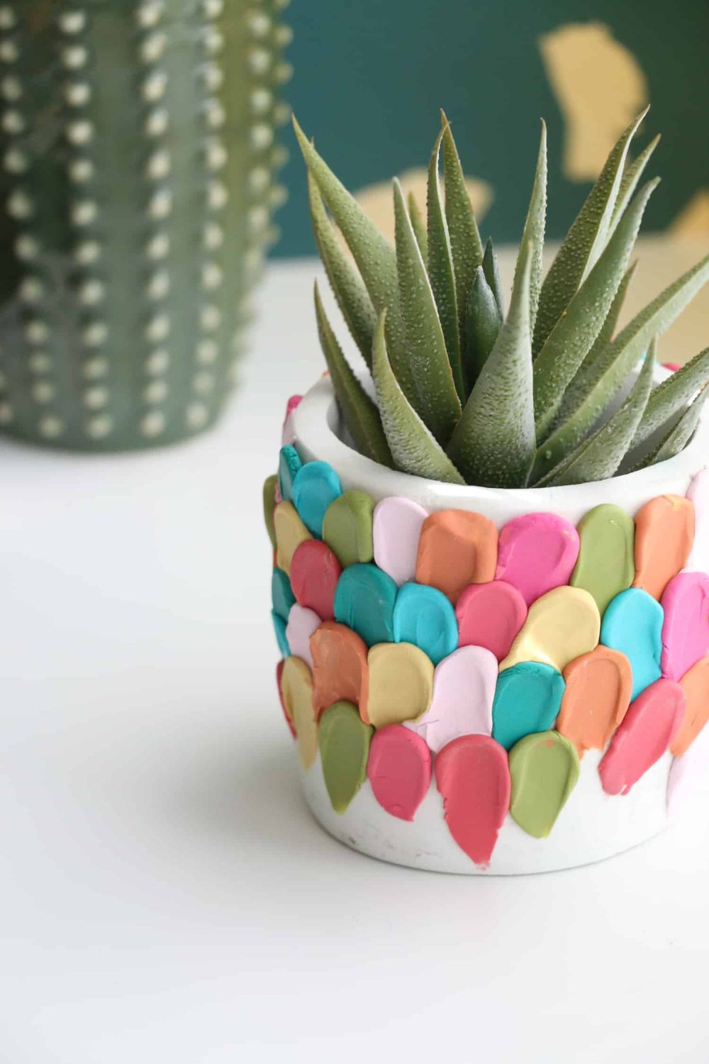 Modern clay succulent pots