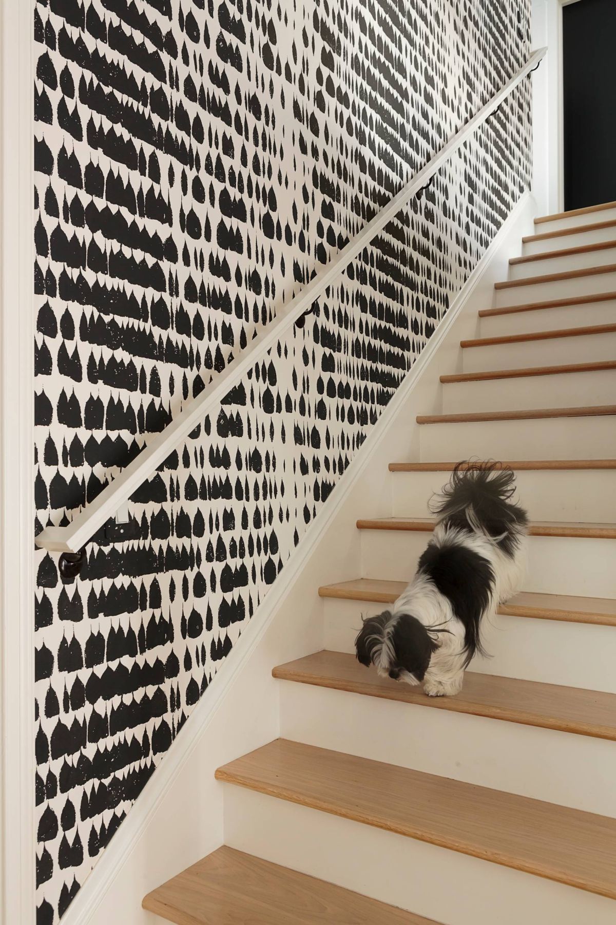 Modern contemporay staircase with black and white wallpaper wall