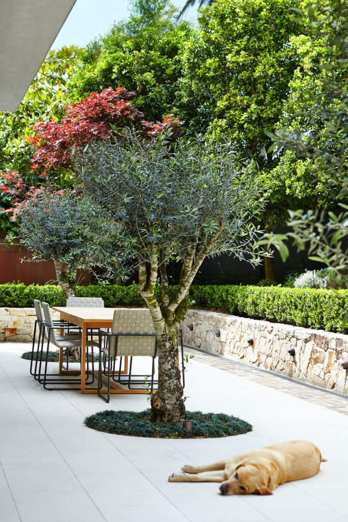 Modern dining table on the backyard