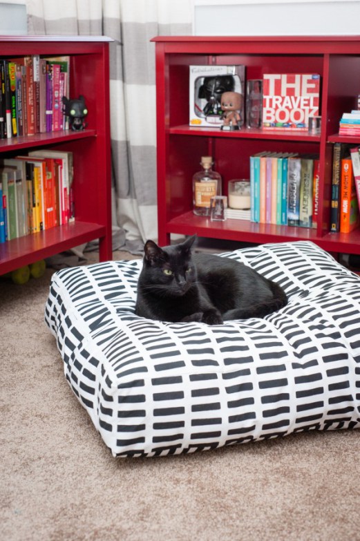 Modern pet floor pillow