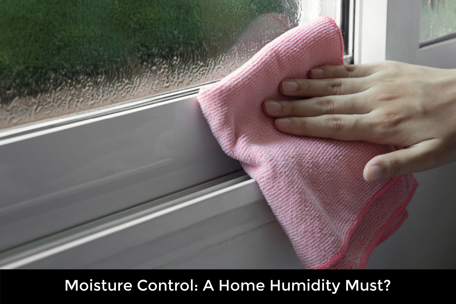 Moisture Control: A Home Humidity Must?