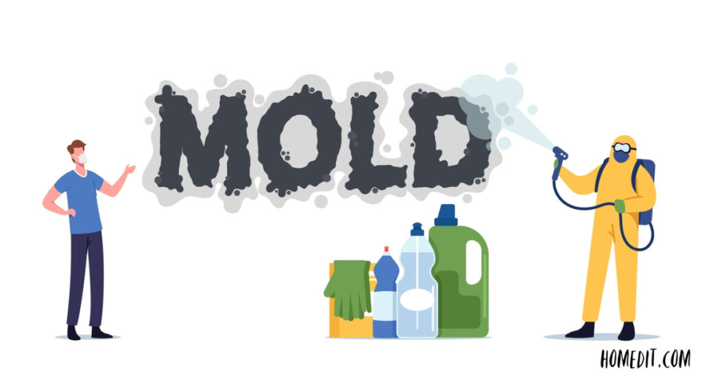 FAQs Regarding Removing Mold