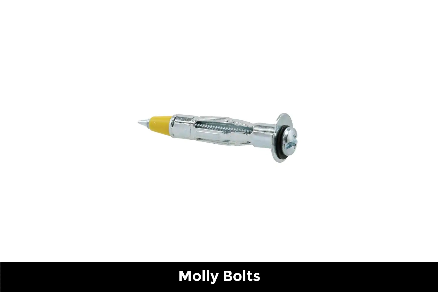 Molly Bolts