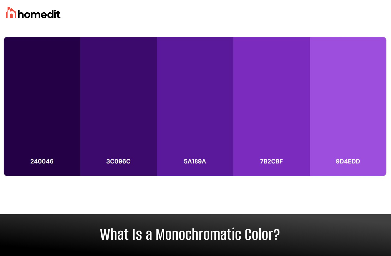 A Guide to Monochrome Color Basics and Pairings