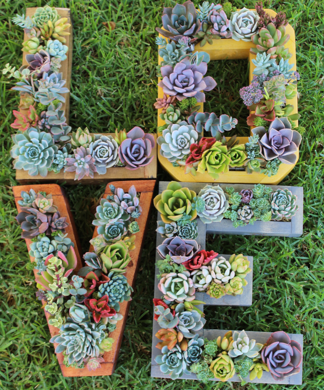 Monogram succulent planters