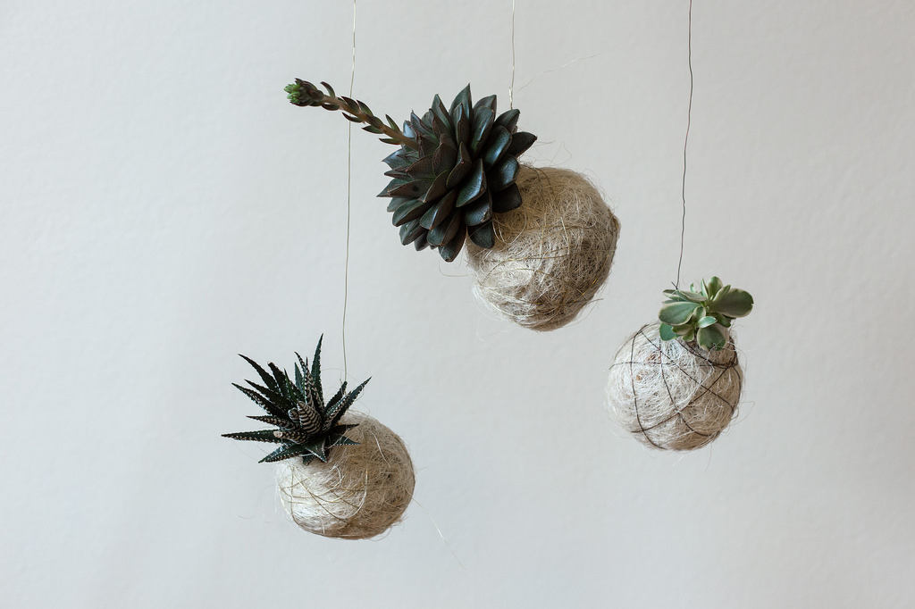 Moss hanging planter