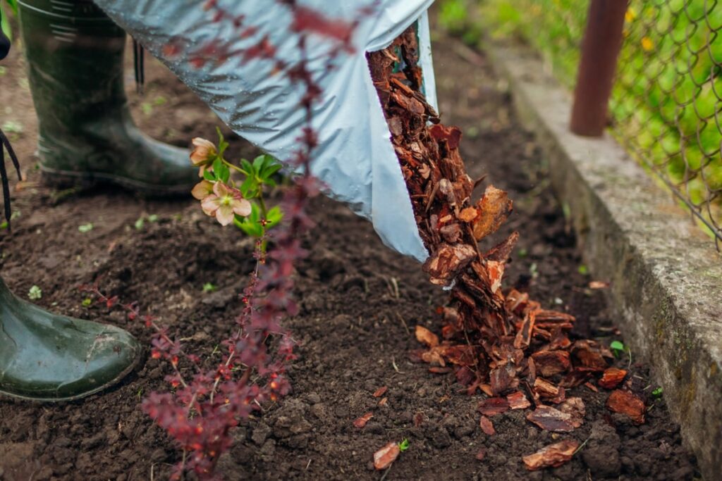 The 10 Best Mulch Alternatives for a Gorgeous Yard or Garden