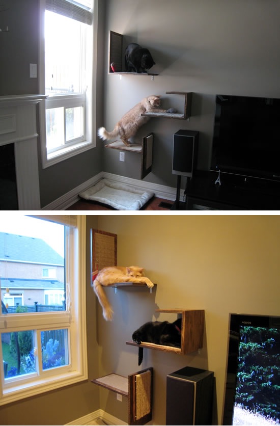 Multifunctional cat tree