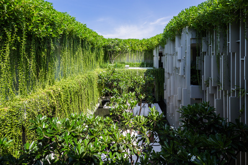 New Resort Spa Is Covered In Hanging Gardens Interior
