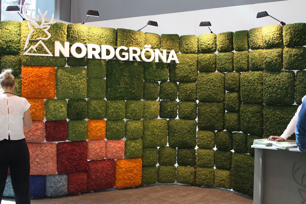 Preserved moss from Nordgrona can be used to create an entire maintenance-free wall of greenery.