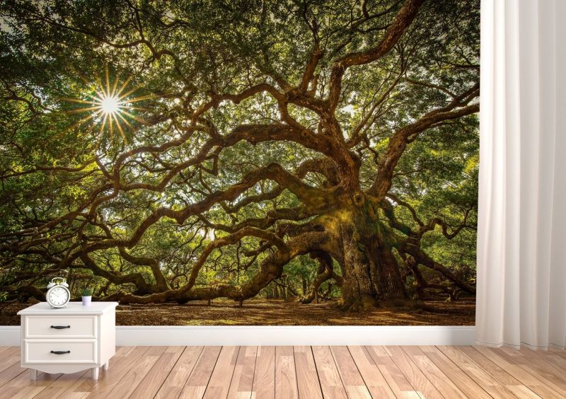 Old Oak Tree Vinyl Wallpaper Forest