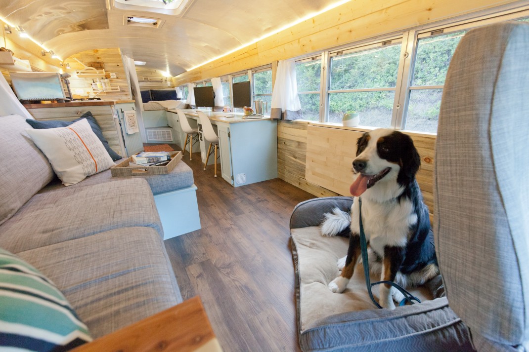 Old school bus conversion - pet friendly