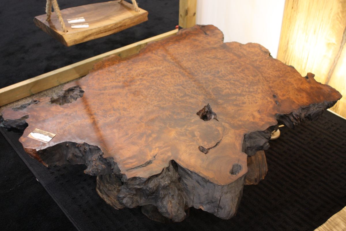 Old wood tree coffee table