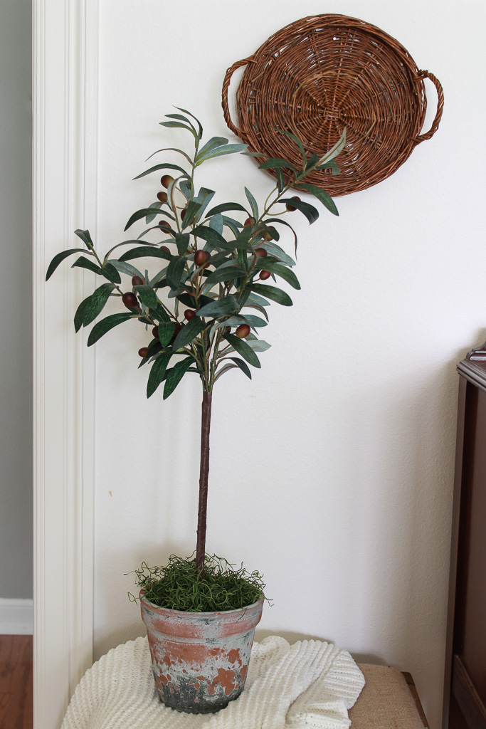 Olive Tree Topiary DIY