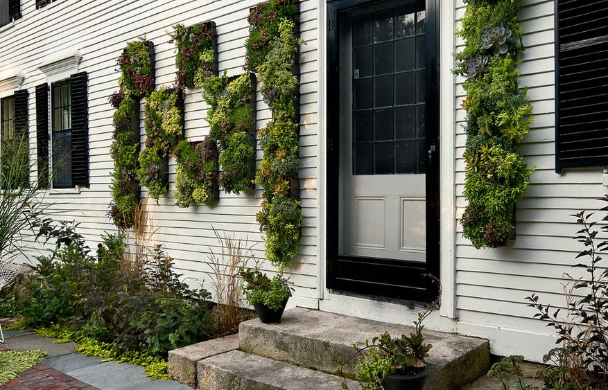 Outdoor house facade vertical garden