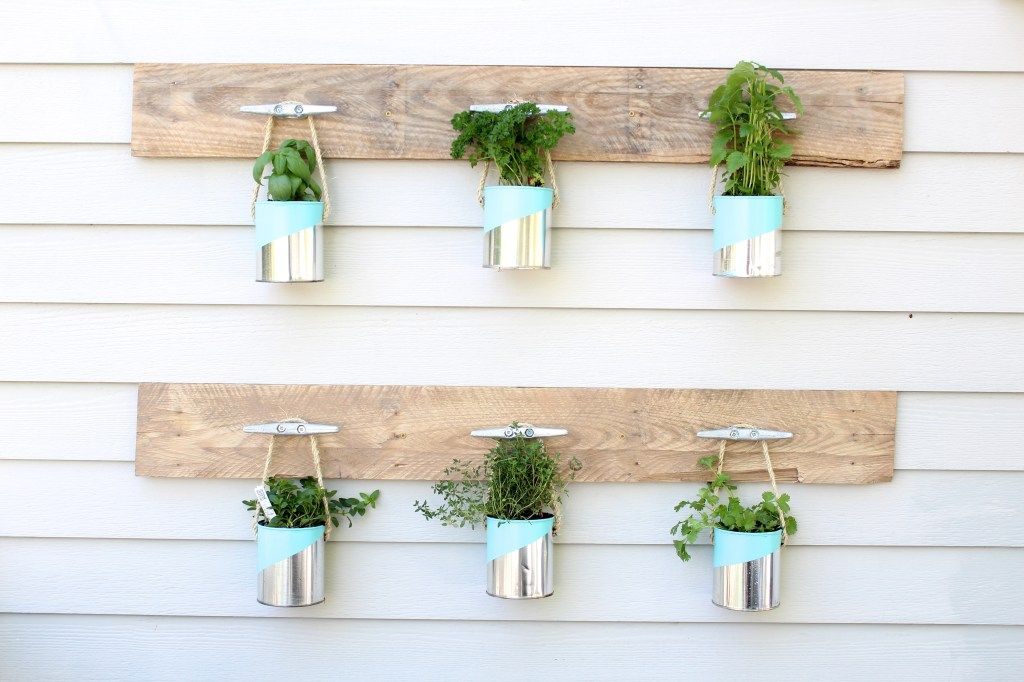 Paint can herb garden