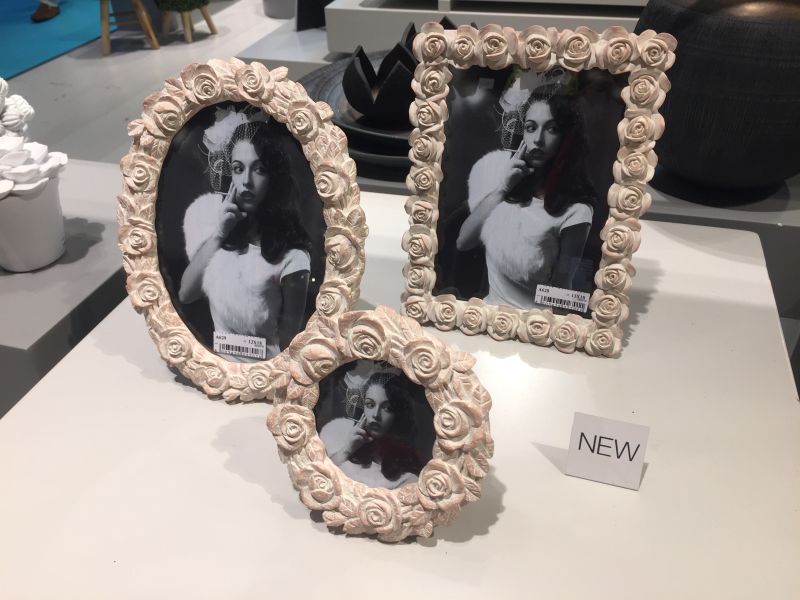 Pale color roses picture frames