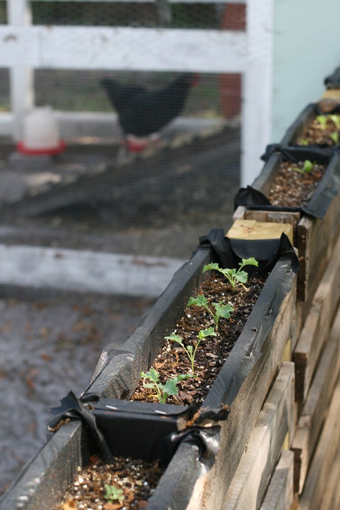 Pallet Garden Fence DIY