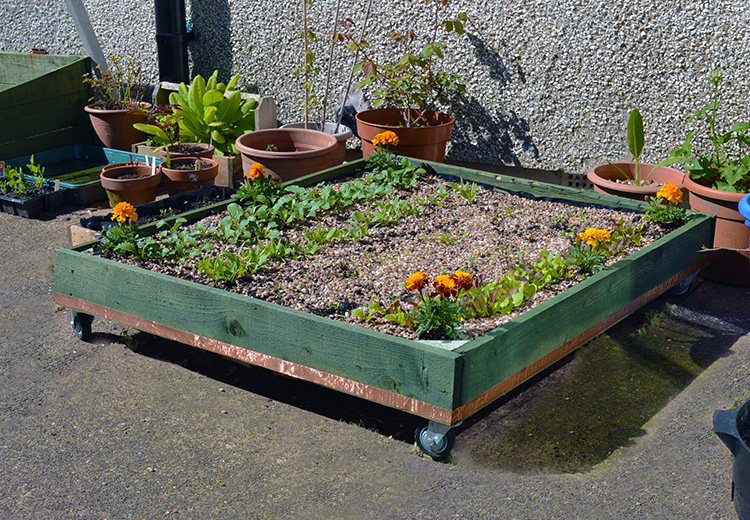 Build a Mobile Pallet Planter