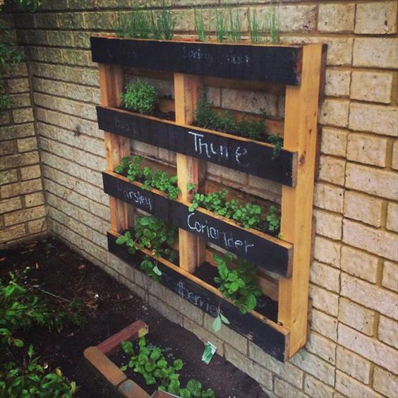 Pallet vertical garden