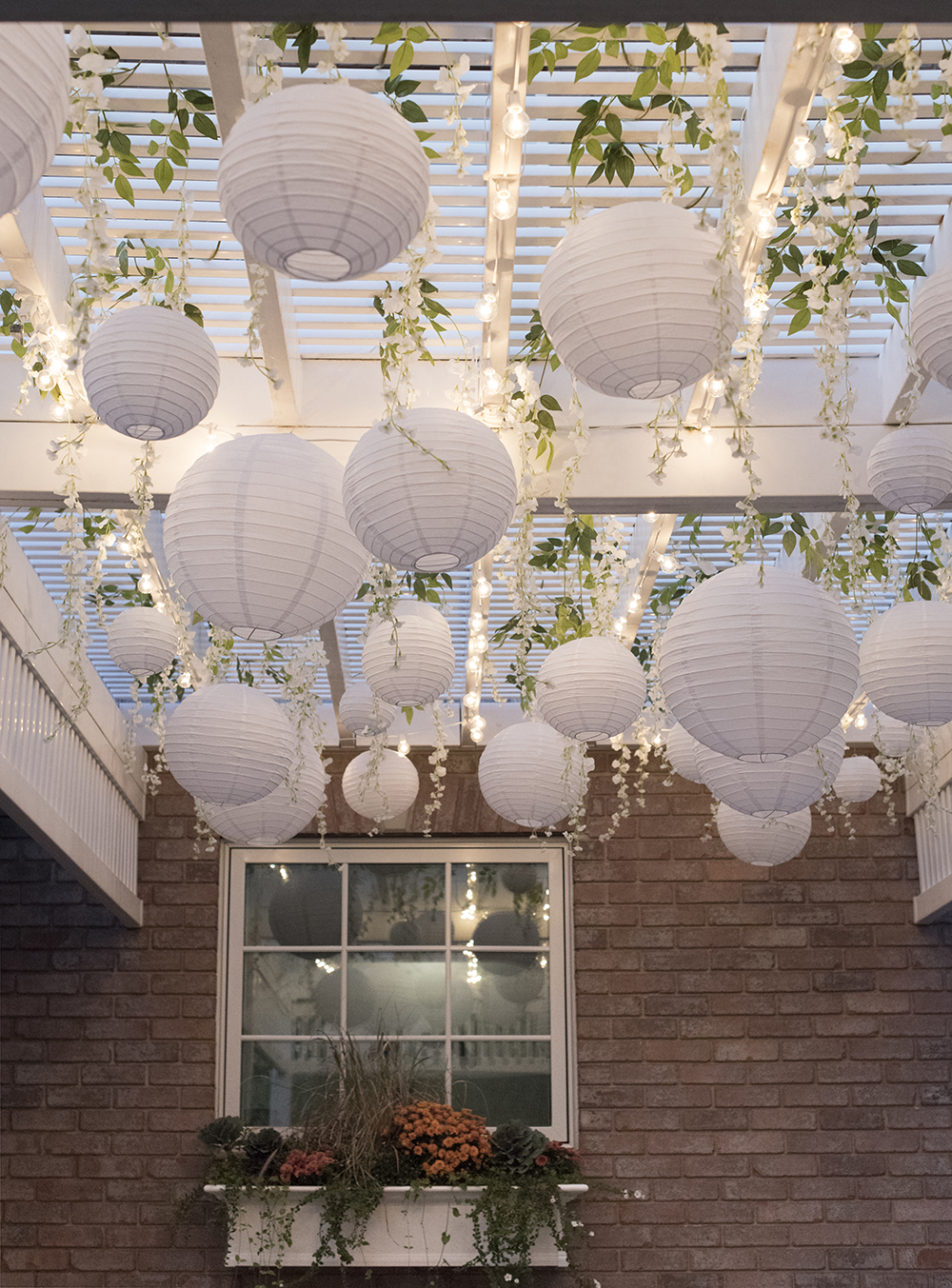 Paper Lanterns and Wisteria 1