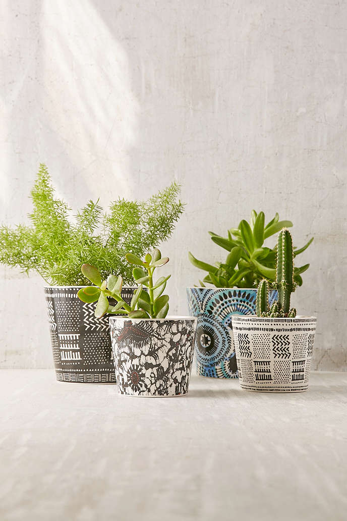 Patterned succulent planter