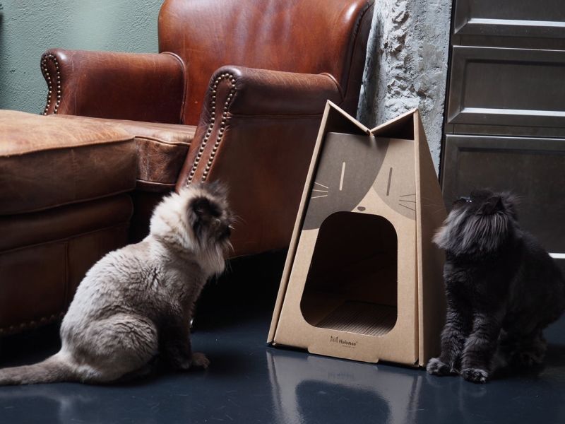 Phantom Cat cat furniture with scratcher
