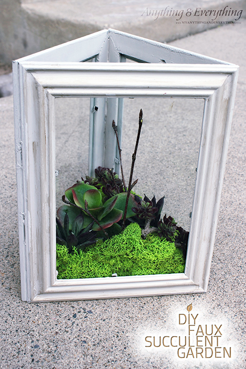 Picture frame moss succulent garden