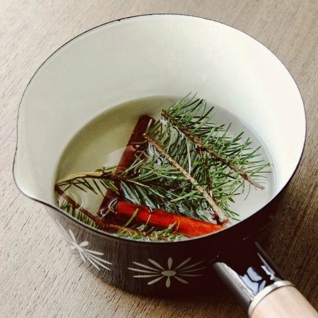 Pine cinnamon simmer