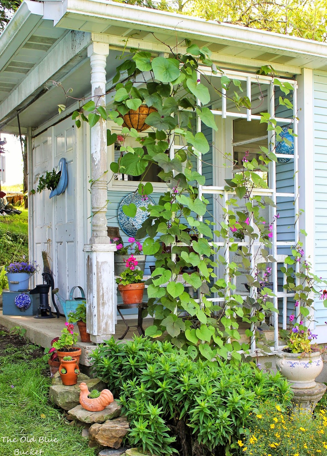 Plant-Based She Shed Ideas