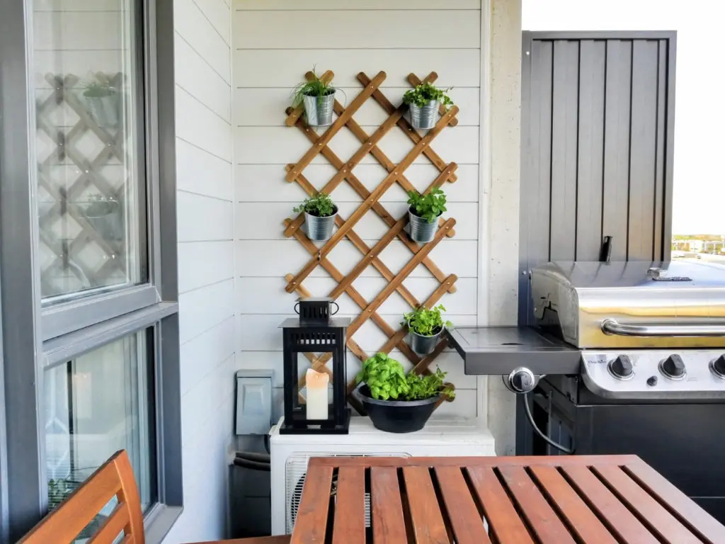 Plant an Herb Garden on Your Winter Patio