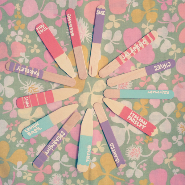 Popsicle Stick Label