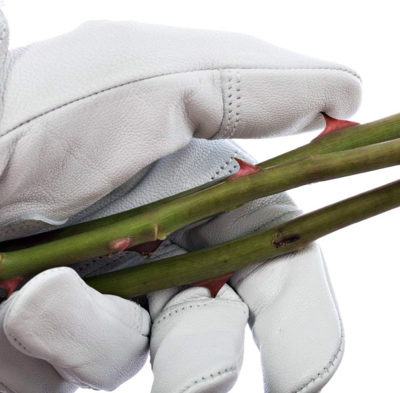 Professional Rose Pruning Garden Gloves