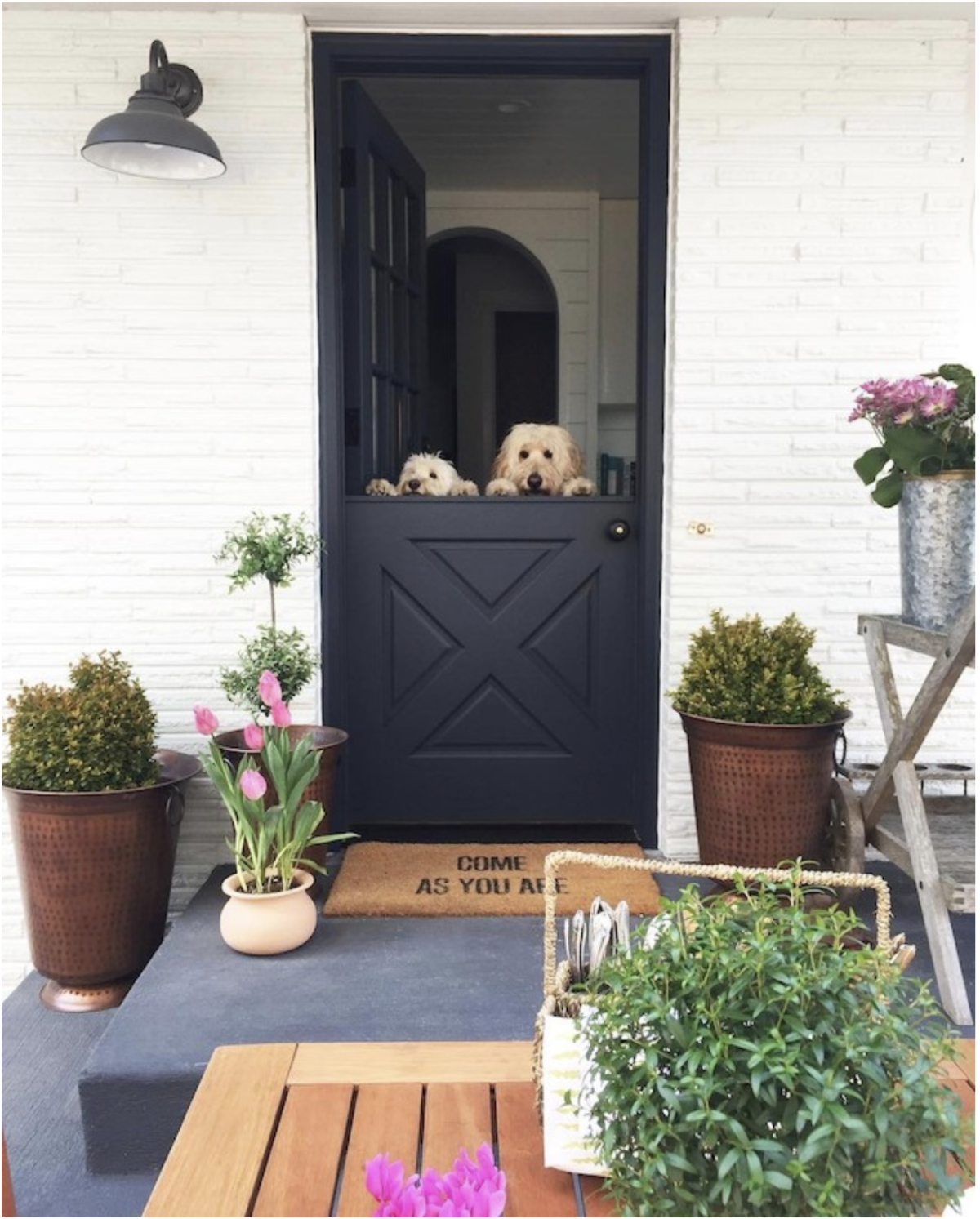 Pros and cons of the dutch door