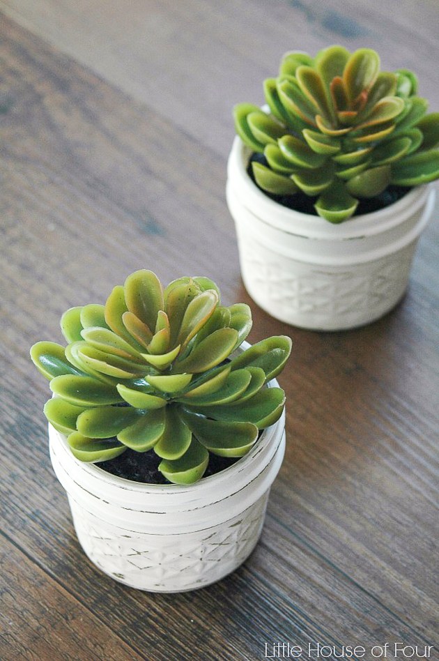 Quick and Easy Dollar Store Succulents