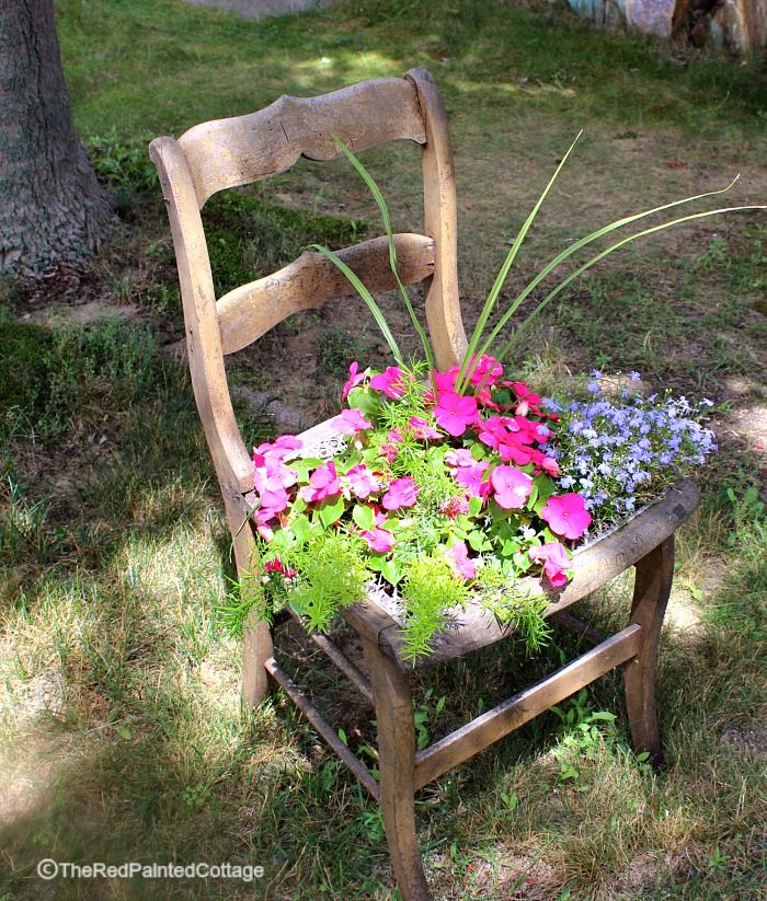 Recycling an old chai and turn into a planter