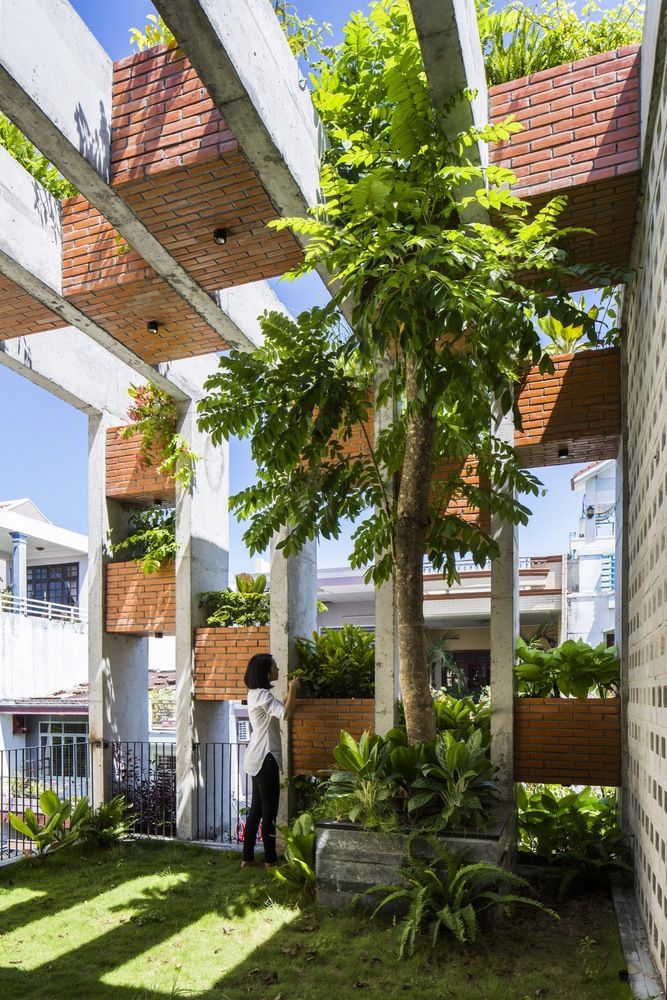 Resort in House from ALPES Green Design & Build Tree