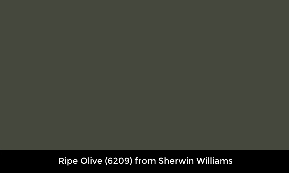 Ripe Olive (6209) from Sherwin Williams