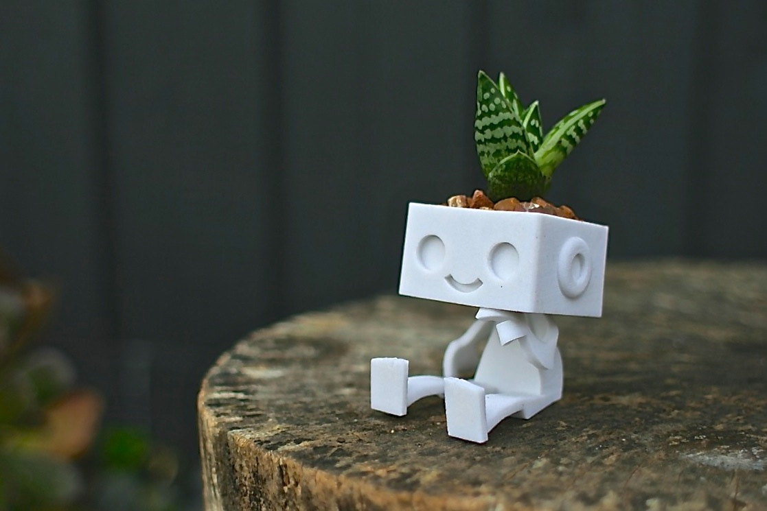 Robot succulent planter