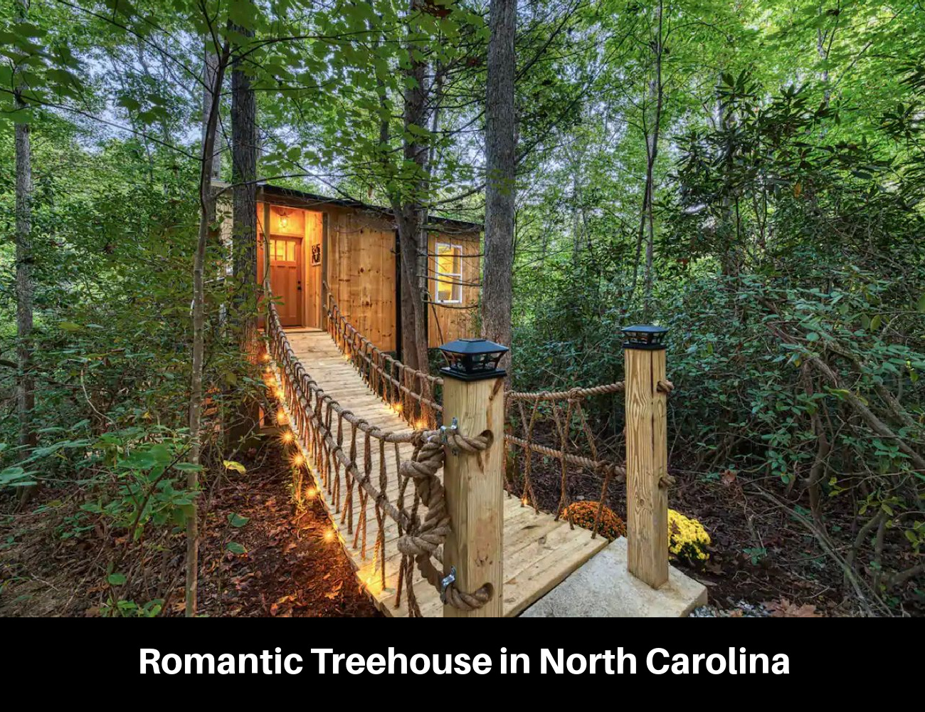 15 Epic Treehouse Rentals Across the Country