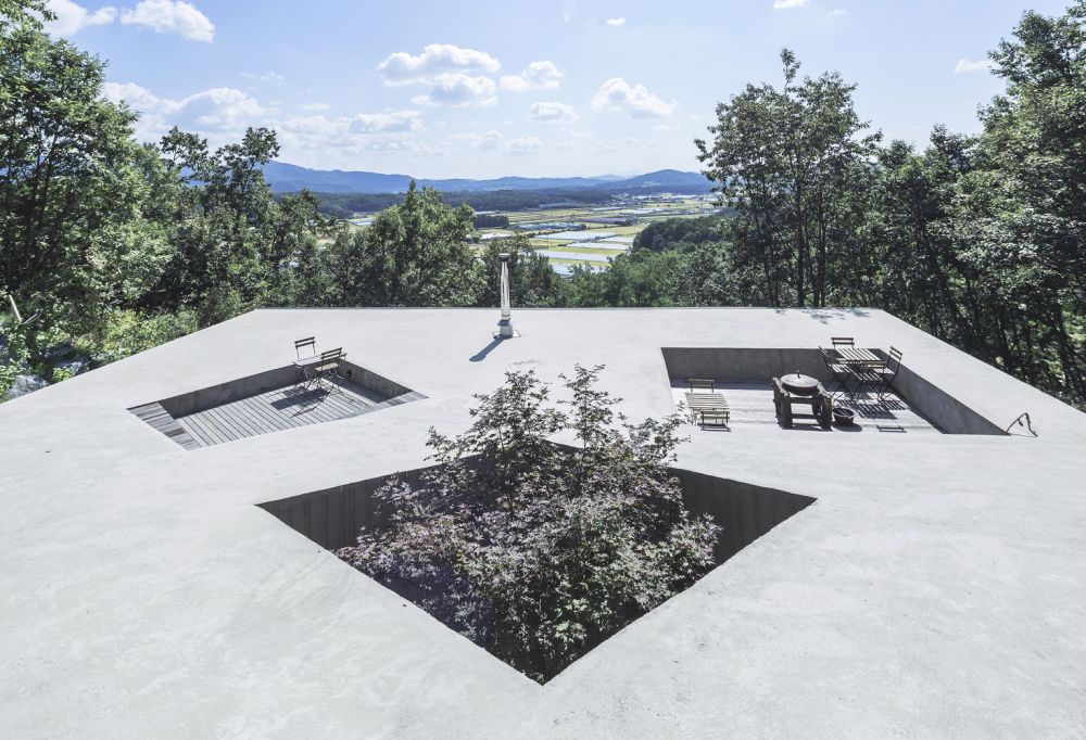 Roof garden and sunken area