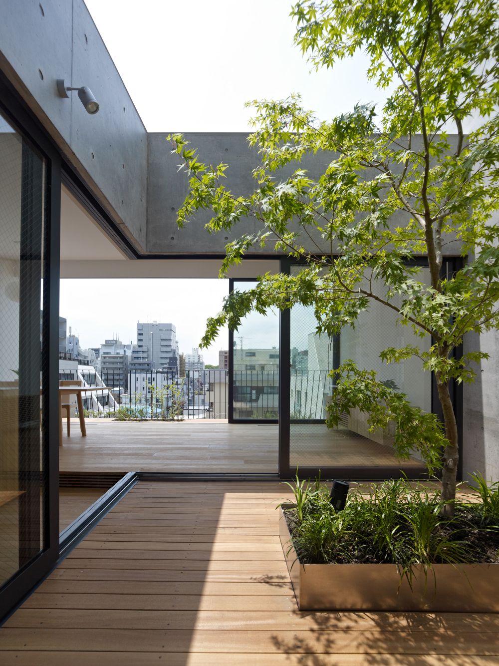 Rooftop courtyard tree decor