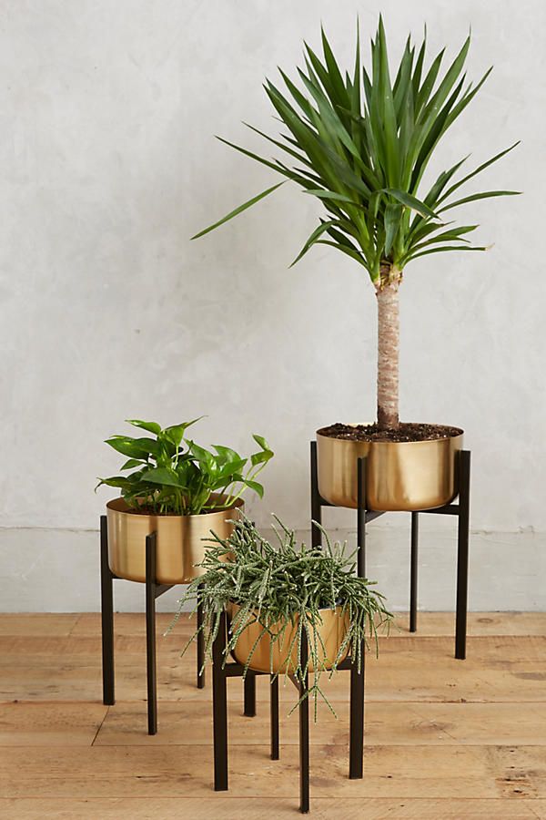 Rossum Metallic Plant Stand