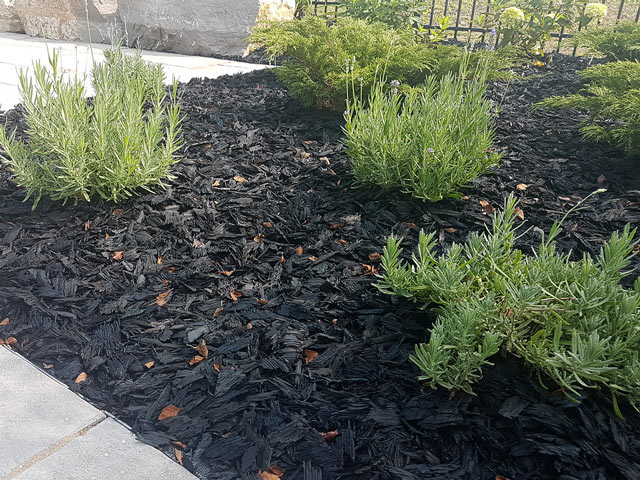 Rubber Mulch