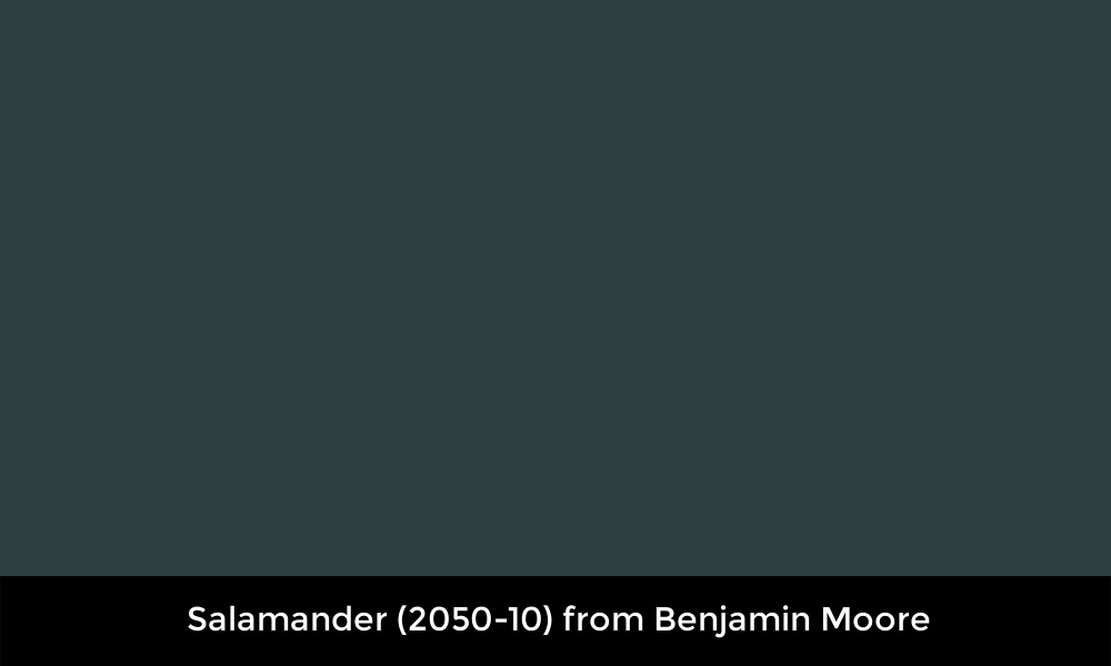 Salamander (2050-10) from Benjamin Moore