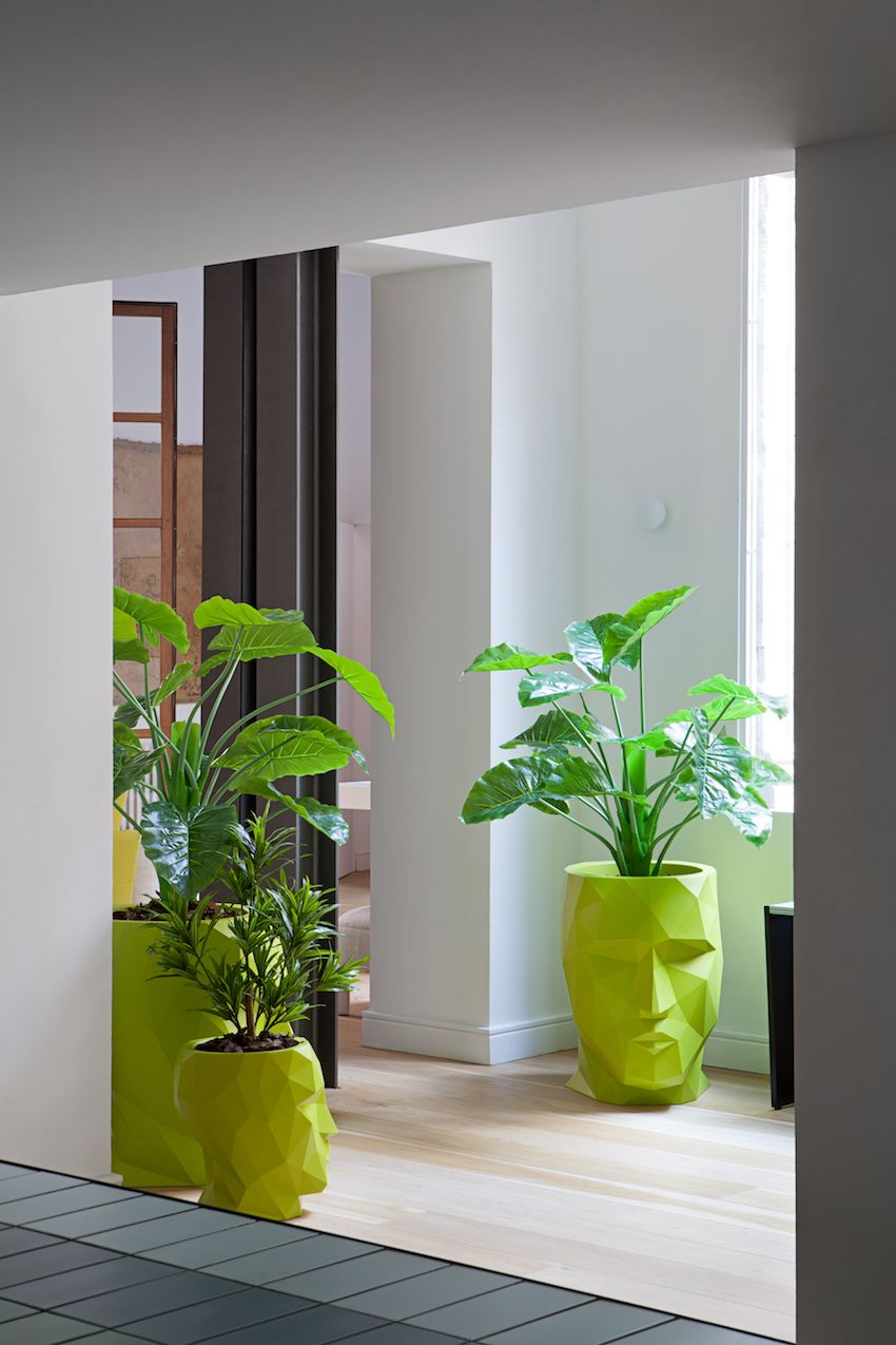 Head-shaped planters are used throughout the home in different sizes and colors.