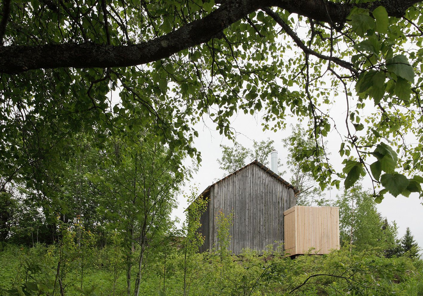Sauna Tonttu