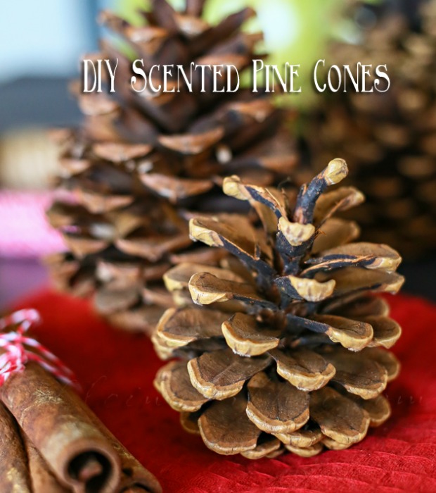 Scented pine cones